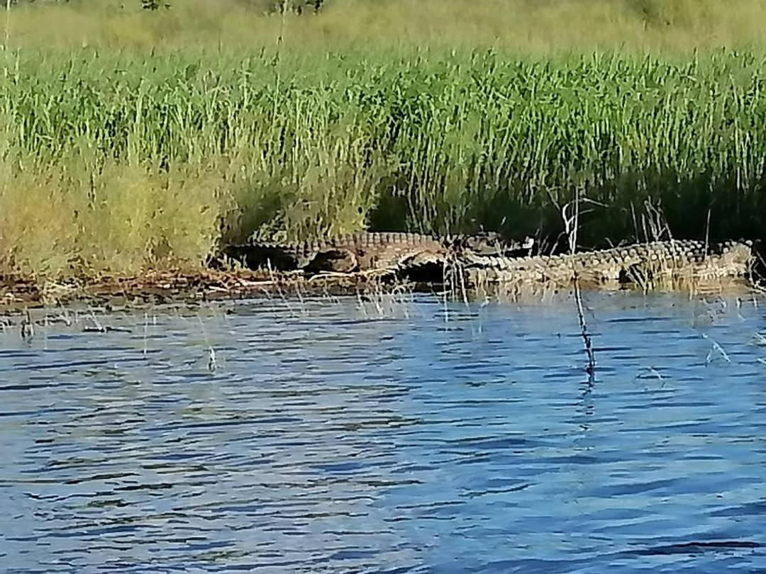 Camp Hogo Kavango Rundu Exteriér fotografie