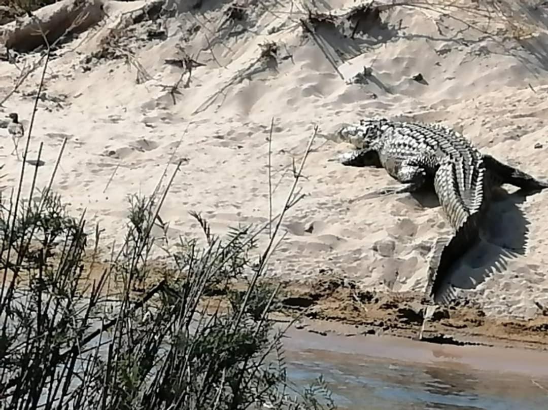 Camp Hogo Kavango Rundu Exteriér fotografie